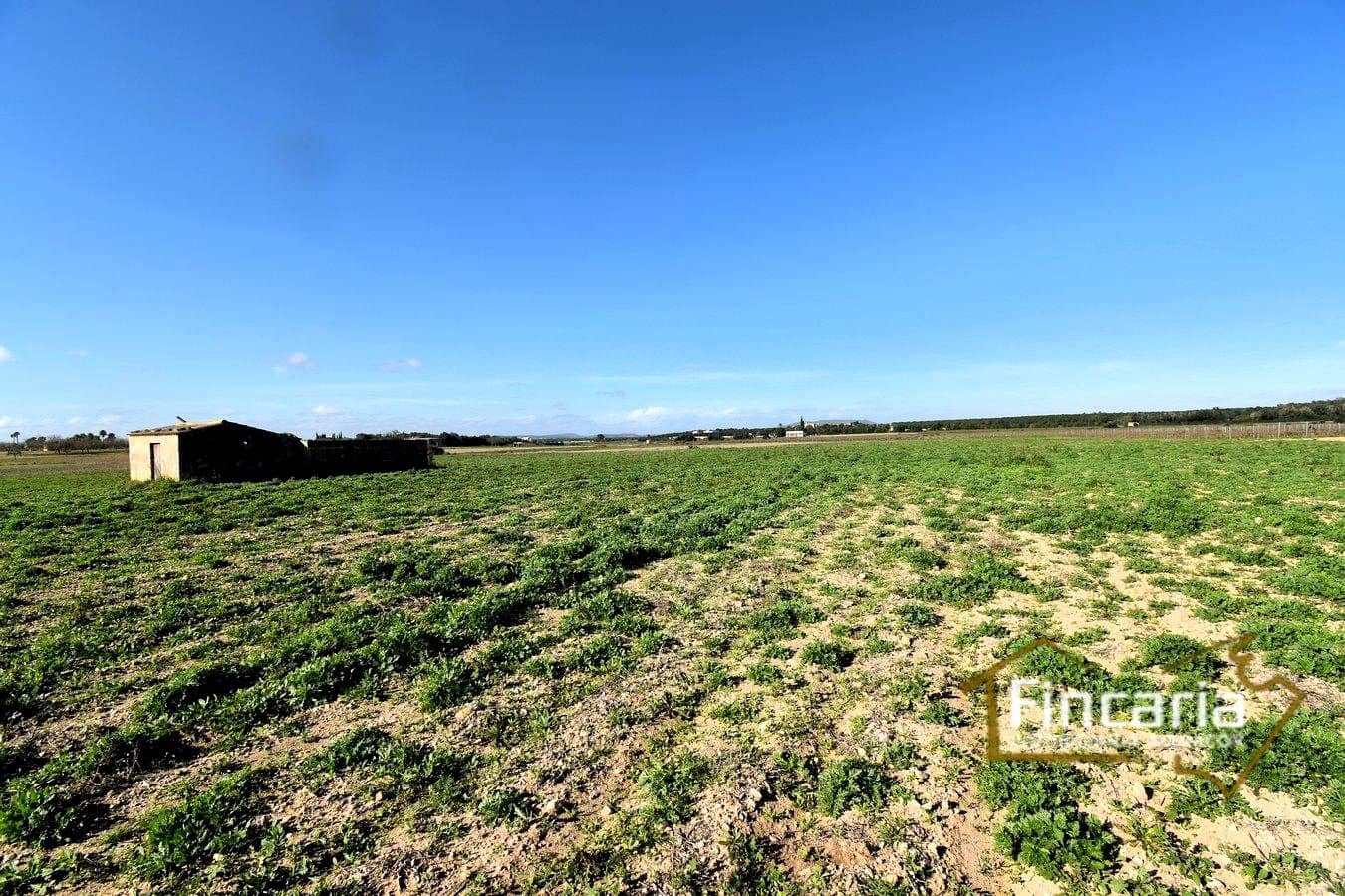 Teren niezagospodarowany na sprzedaż w Felanitx - 169 000 € (Ref: 8822755)