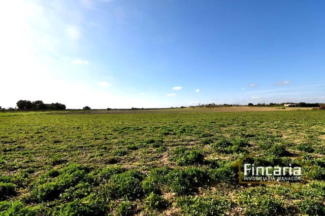 Terreno Não Urbanizado para venda em Felanitx - 169 000 € (Ref: 8822755)