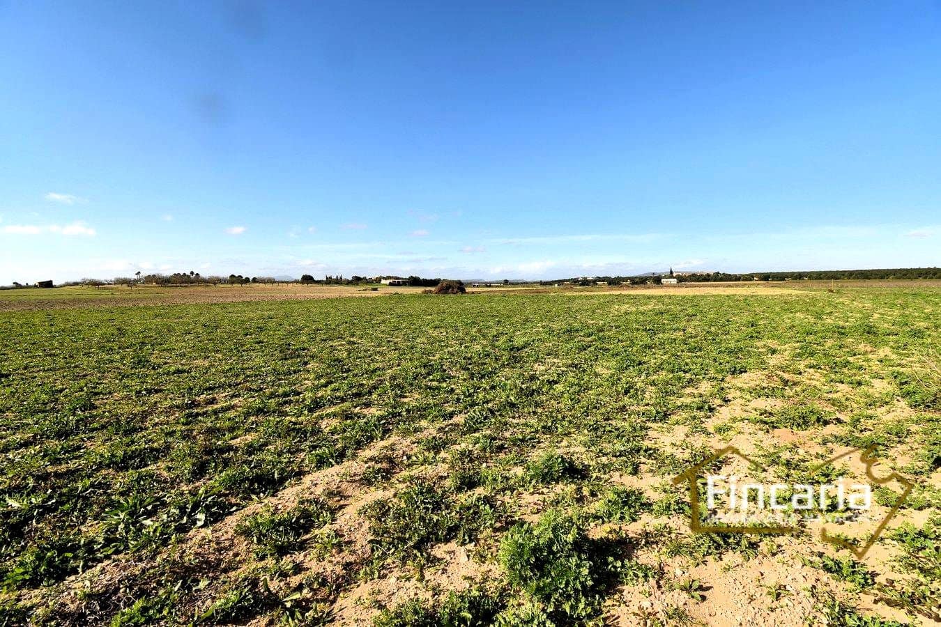 Teren niezagospodarowany na sprzedaż w Felanitx - 169 000 € (Ref: 8822755)