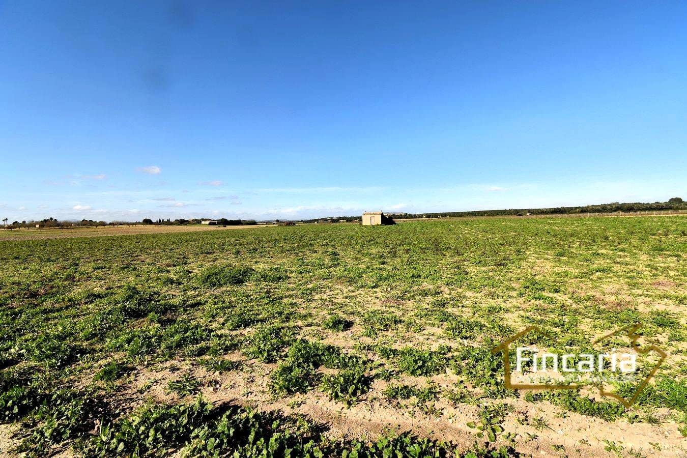 Teren niezagospodarowany na sprzedaż w Felanitx - 169 000 € (Ref: 8822755)