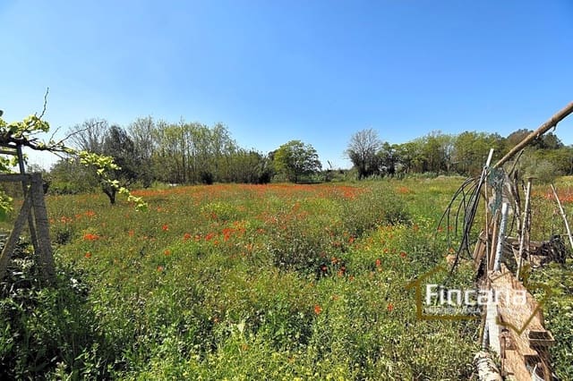 5 camera da letto Finca/Casa di Campagna in vendita in Manacor - 199.000 € (Rif: 8822762)