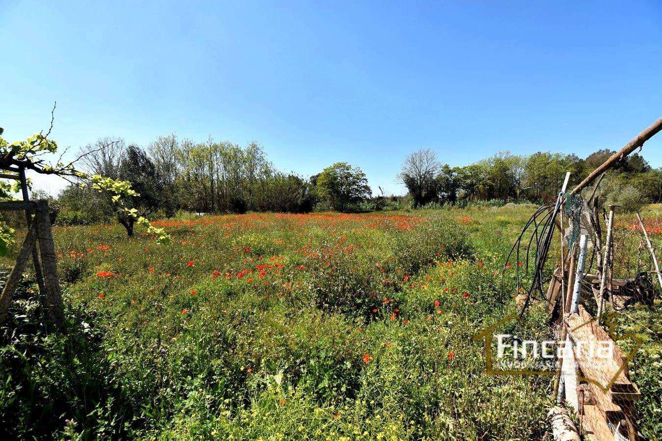 5 camera da letto Finca/Casa di Campagna in vendita in Manacor - 320.000 € (Rif: 8822762)