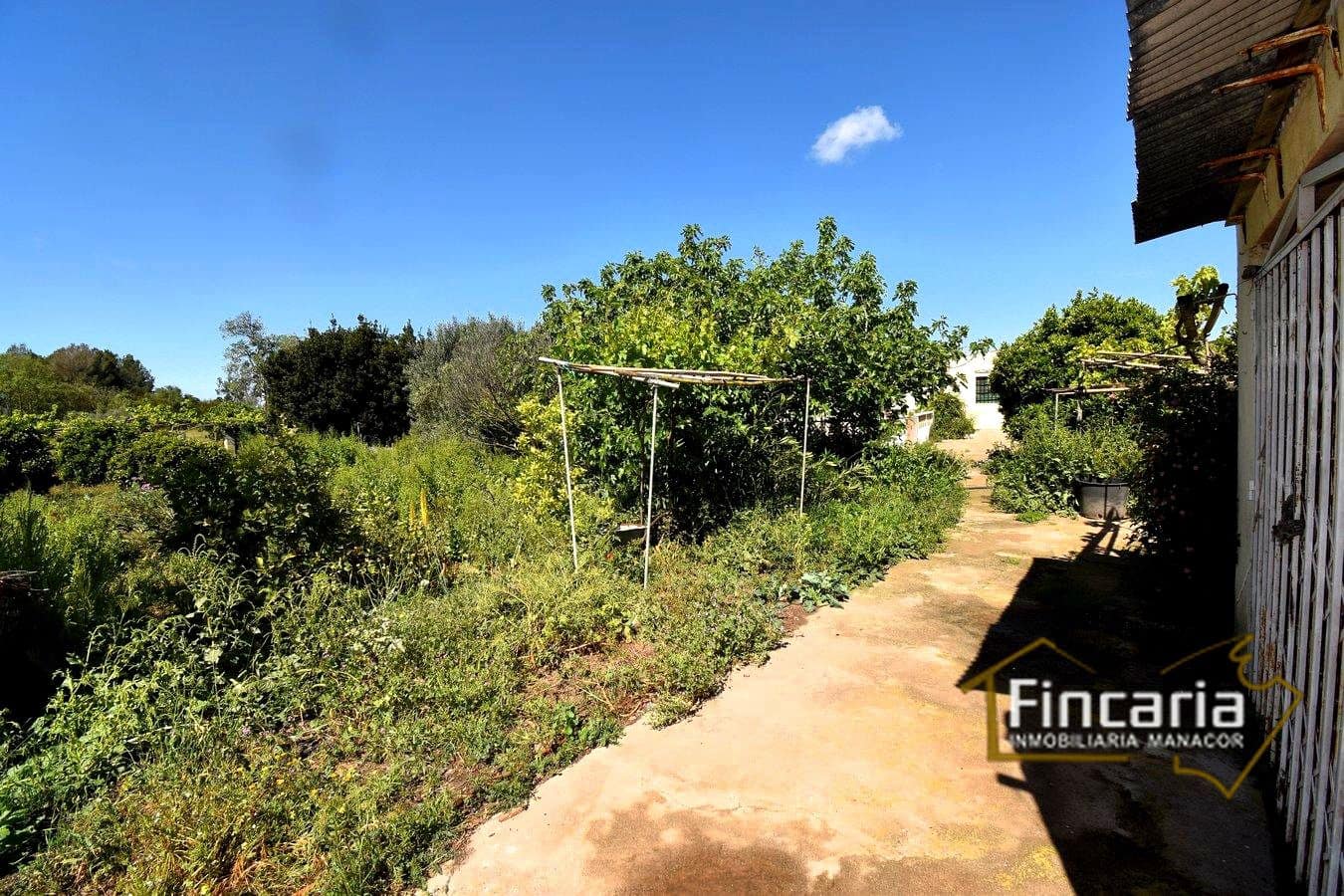 5 camera da letto Finca/Casa di Campagna in vendita in Manacor - 320.000 € (Rif: 8822762)