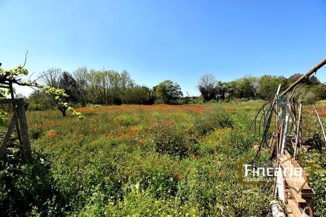 5 camera da letto Finca/Casa di Campagna in vendita in Manacor - 320.000 € (Rif: 8822762)