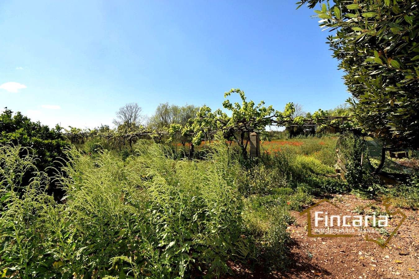 5 camera da letto Finca/Casa di Campagna in vendita in Manacor - 320.000 € (Rif: 8822762)