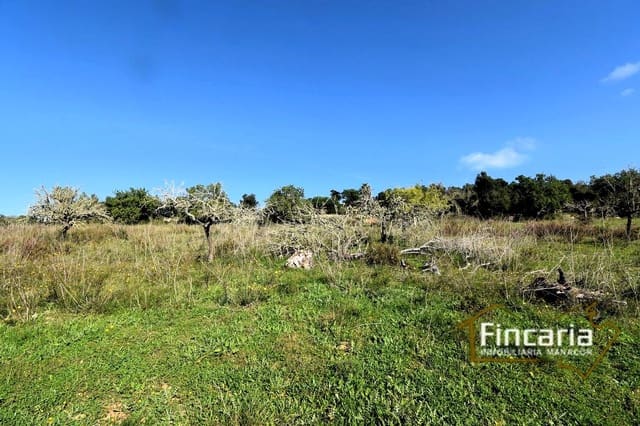 Undeveloped Land for sale in Son Macia, Manacor - € 275,000 (Ref: 8822768)