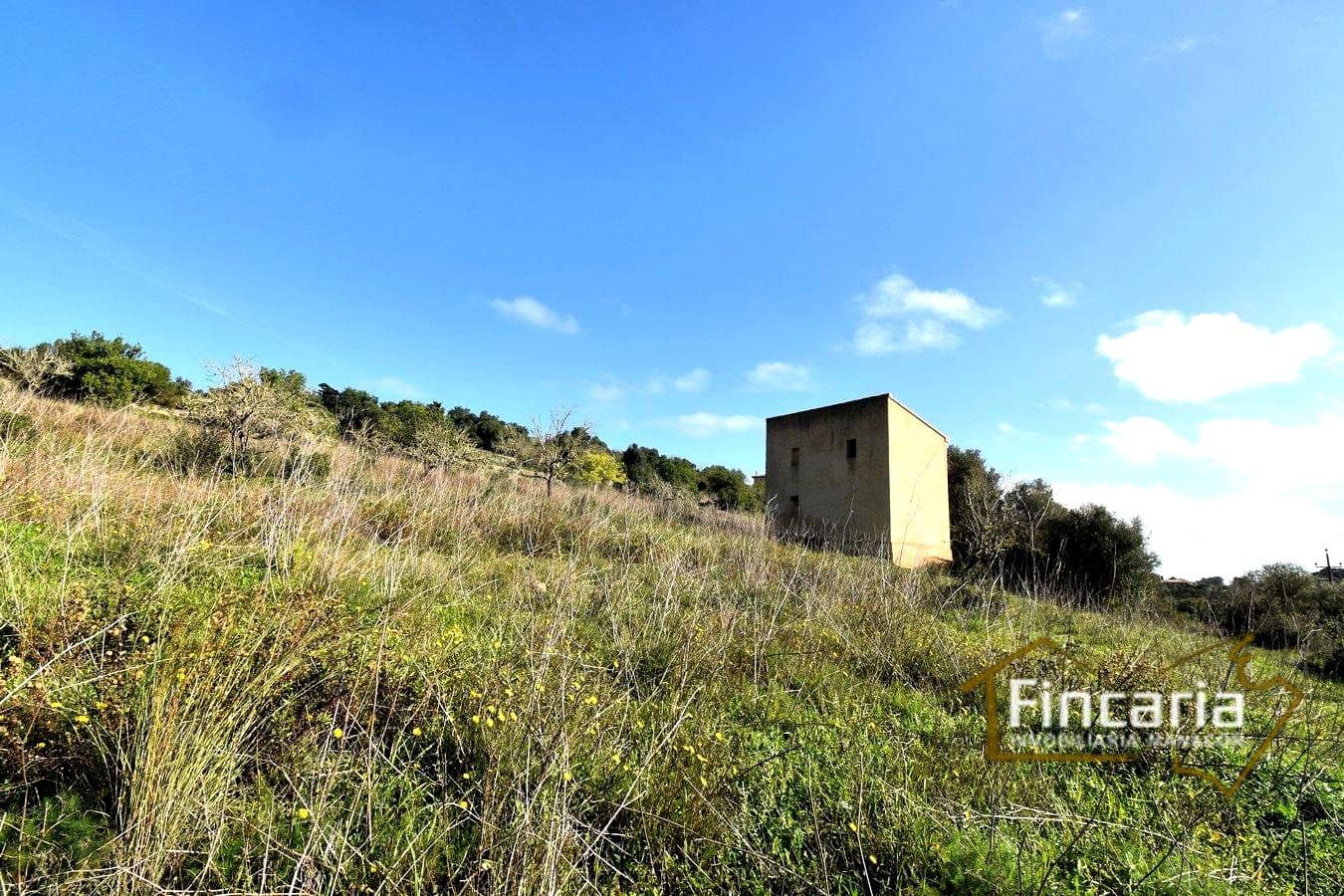 Mark till salu i Son Macia - 275 000 € (Ref: 8822768)