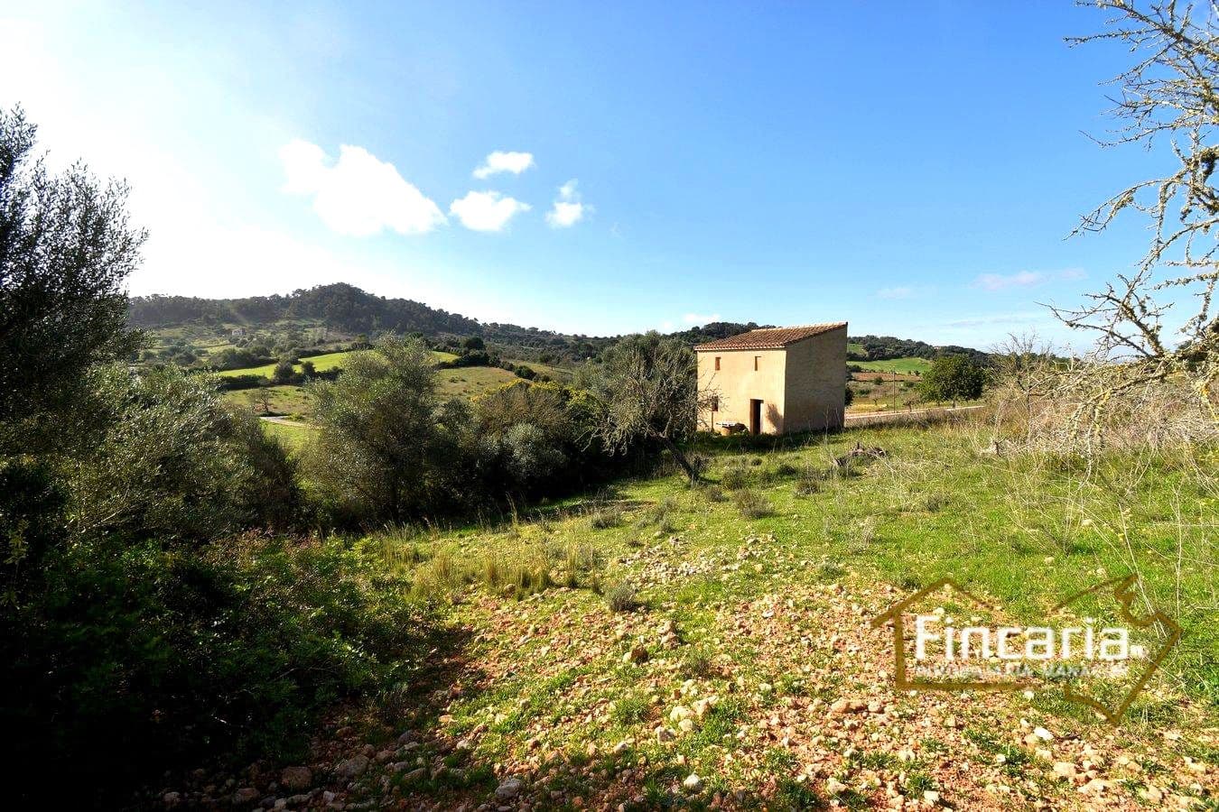 Mark till salu i Son Macia - 275 000 € (Ref: 8822768)