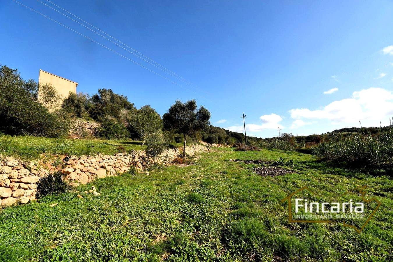 Mark till salu i Son Macia - 275 000 € (Ref: 8822768)