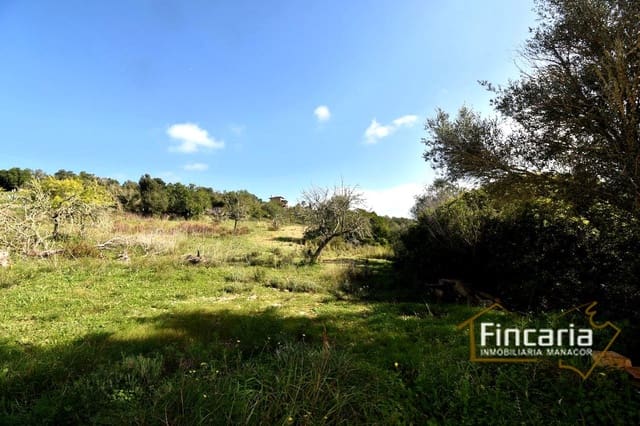Undeveloped Land for sale in Son Macia, Manacor - € 275,000 (Ref: 8822768)