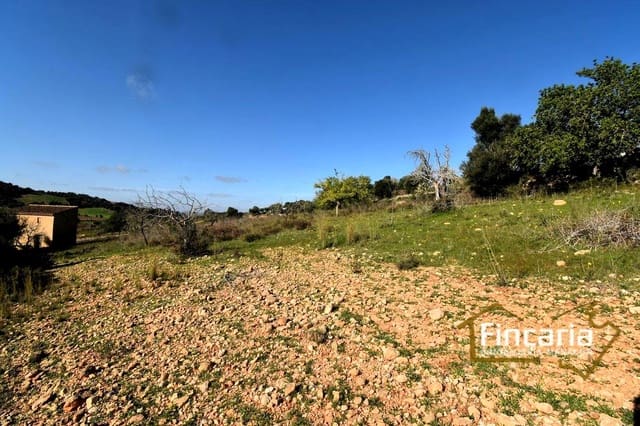 Undeveloped Land for sale in Son Macia, Manacor - € 275,000 (Ref: 8822768)
