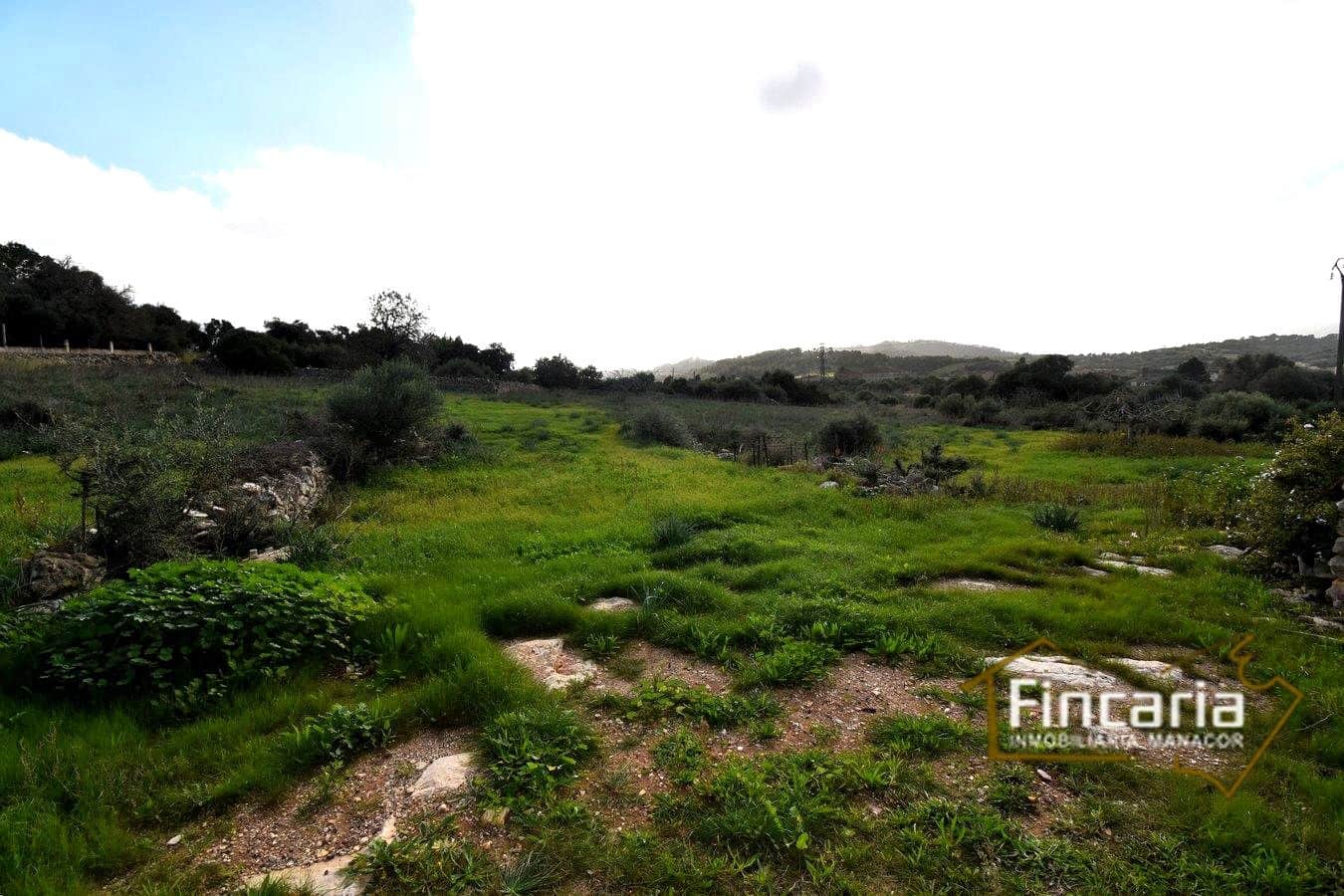 3 soverom Finca/Herregård til salgs i Son Macia - € 800 000 (Ref: 8822772)