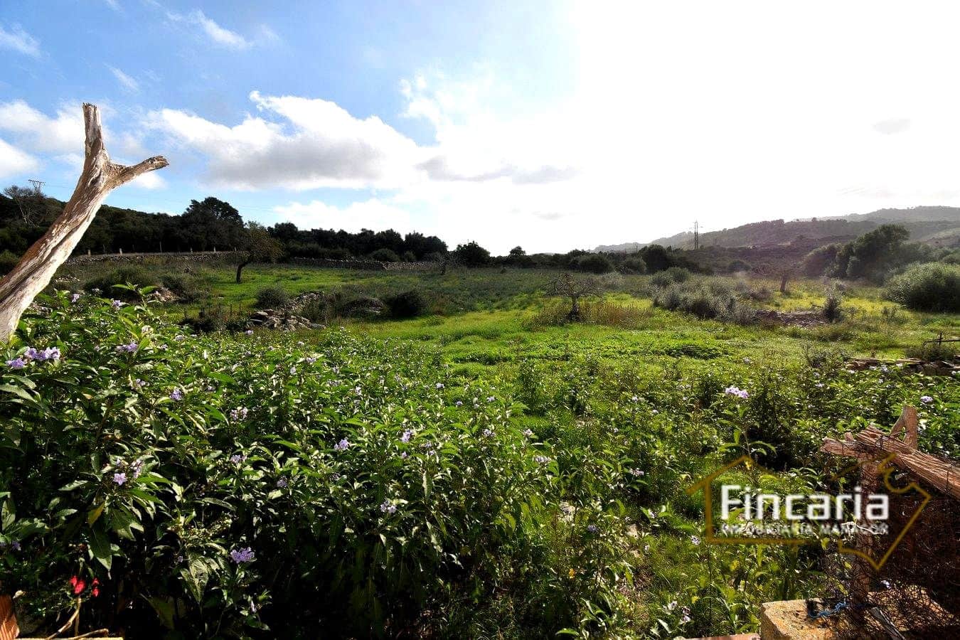 3 soverom Finca/Herregård til salgs i Son Macia - € 800 000 (Ref: 8822772)