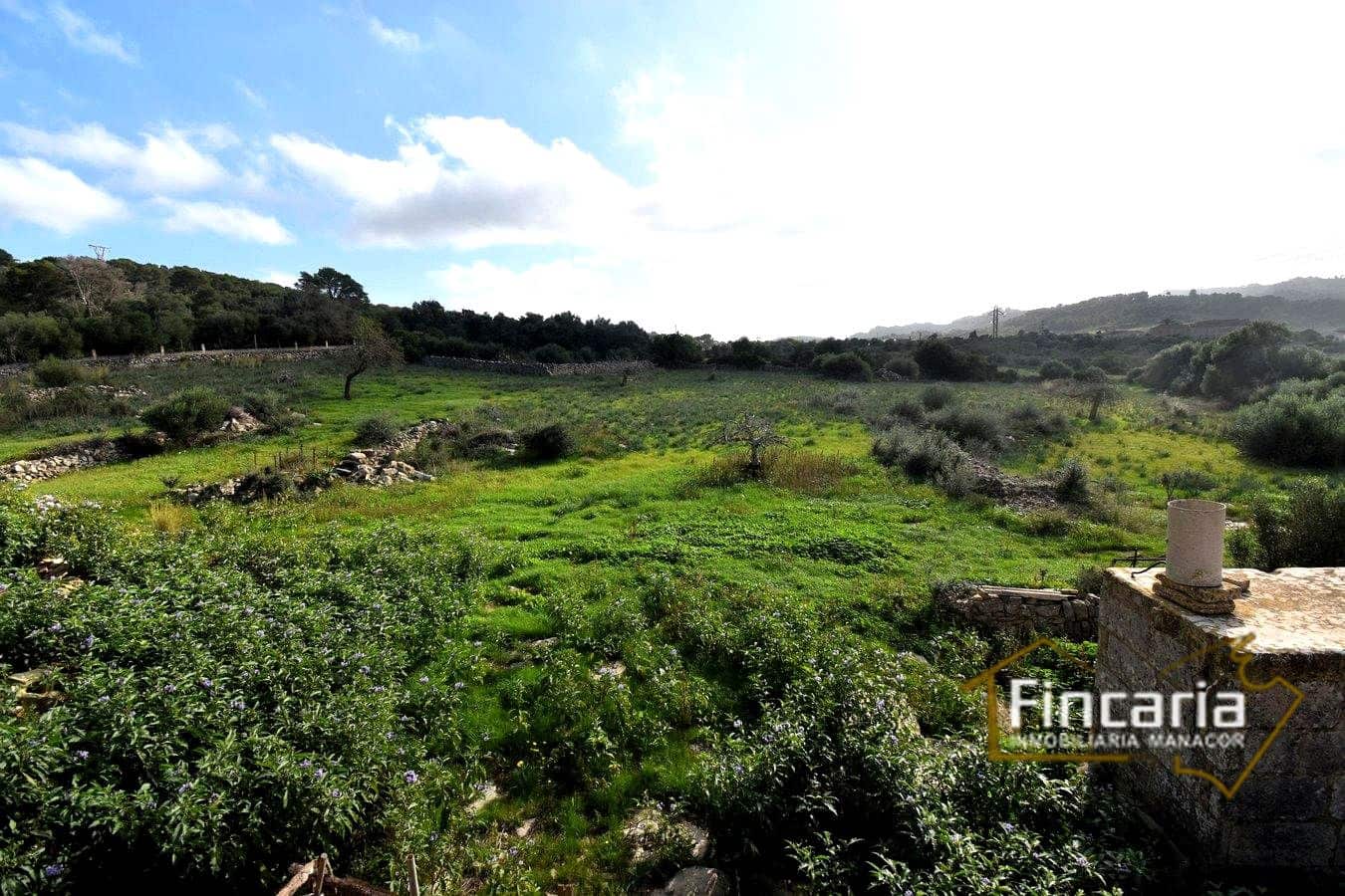 3 soverom Finca/Herregård til salgs i Son Macia - € 800 000 (Ref: 8822772)