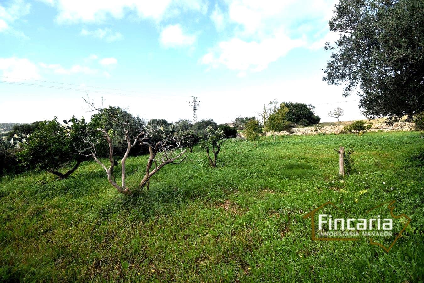 3 soverom Finca/Herregård til salgs i Son Macia - € 800 000 (Ref: 8822772)