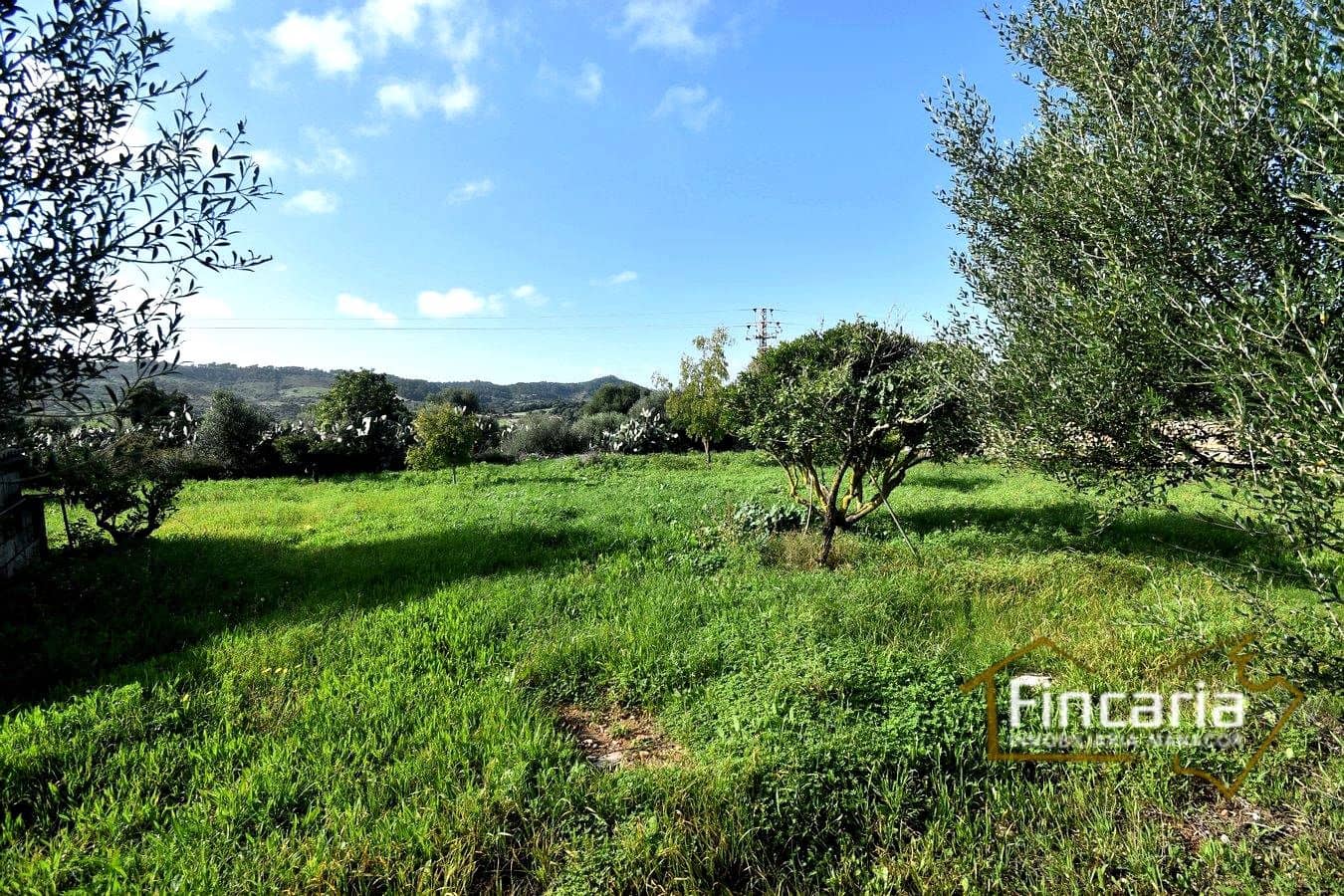 3 soverom Finca/Herregård til salgs i Son Macia - € 800 000 (Ref: 8822772)