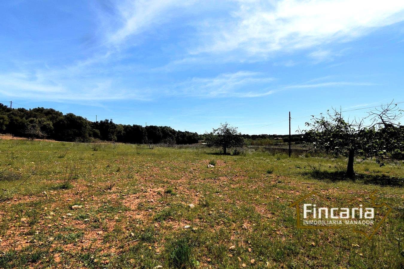 Grunde uden byggetilladelser til salg i Sant Llorenc des Cardassar - € 298.000 (Ref: 8822801)