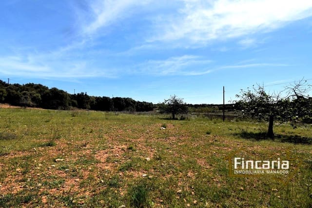 Mark till salu i Sant Llorenç des Cardassar - 298 000 € (Ref: 8822801)