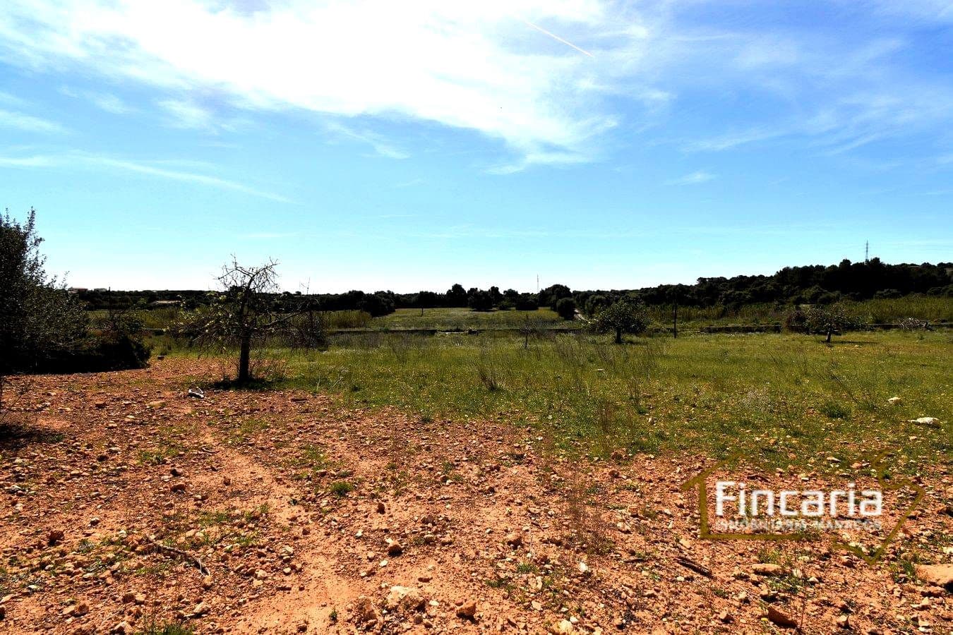 Grunde uden byggetilladelser til salg i Sant Llorenc des Cardassar - € 298.000 (Ref: 8822801)