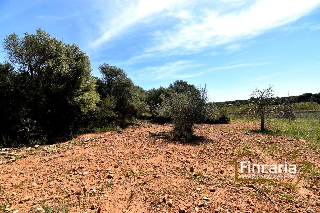 Ubebygd land til salgs i Sant Llorenc des Cardassar - € 298 000 (Ref: 8822801)