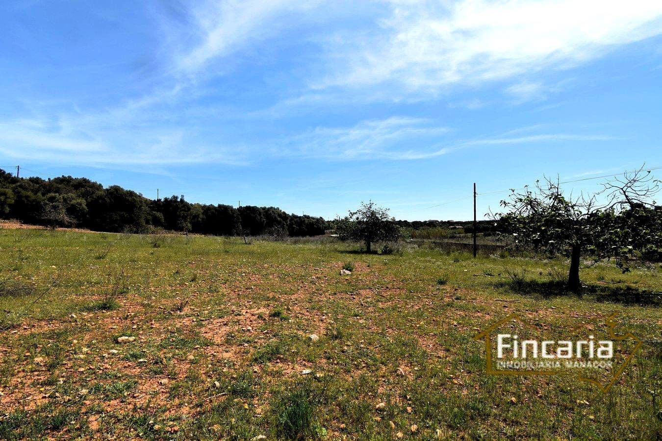 Ubebygd land til salgs i Sant Llorenc des Cardassar - € 298 000 (Ref: 8822801)