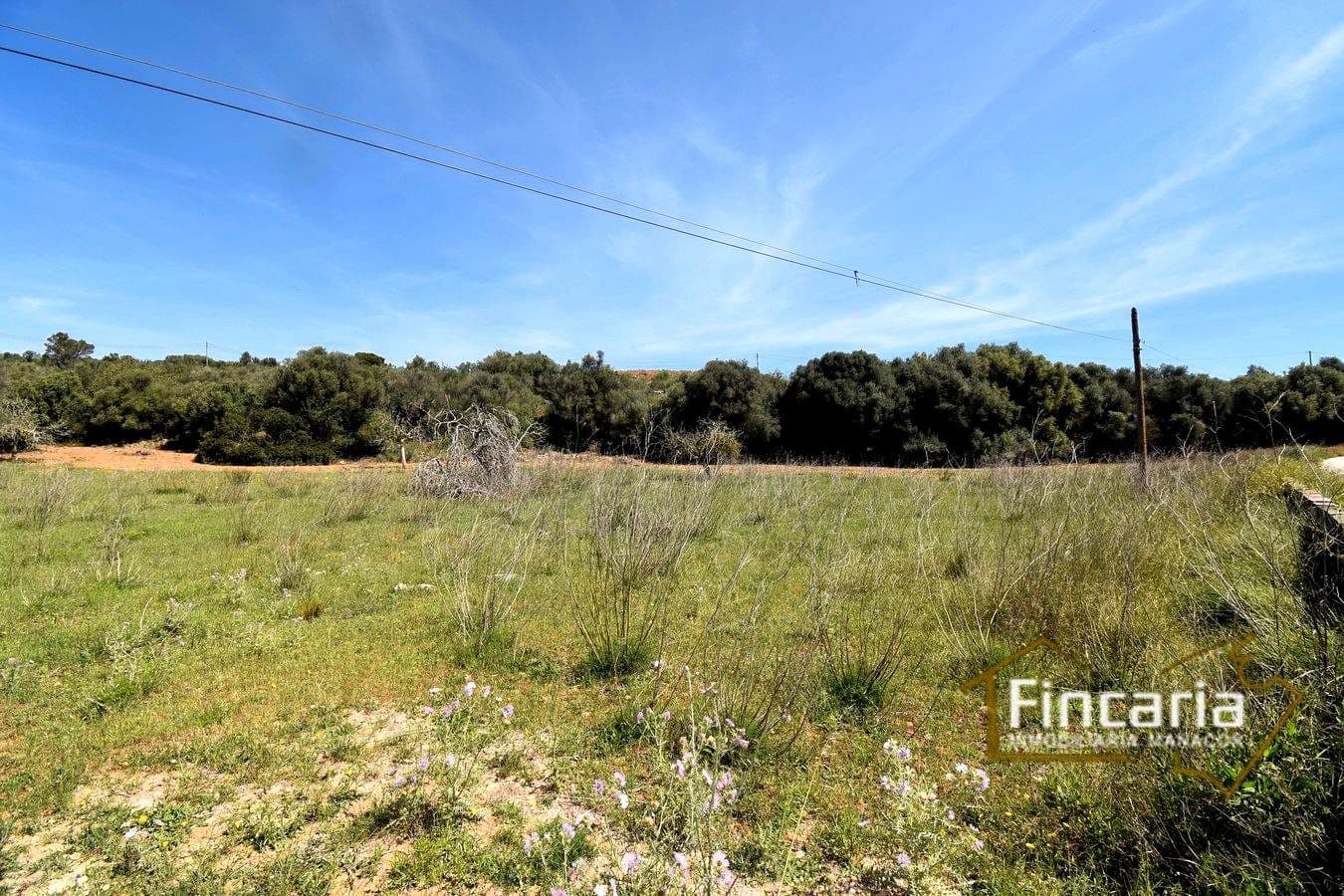 Ubebygd land til salgs i Sant Llorenc des Cardassar - € 298 000 (Ref: 8822801)