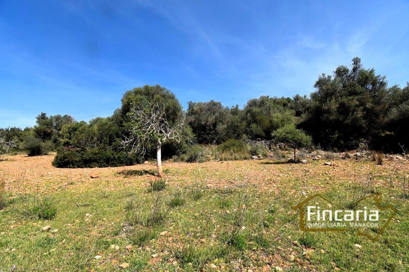 Ubebygd land til salgs i Sant Llorenc des Cardassar - € 298 000 (Ref: 8822801)