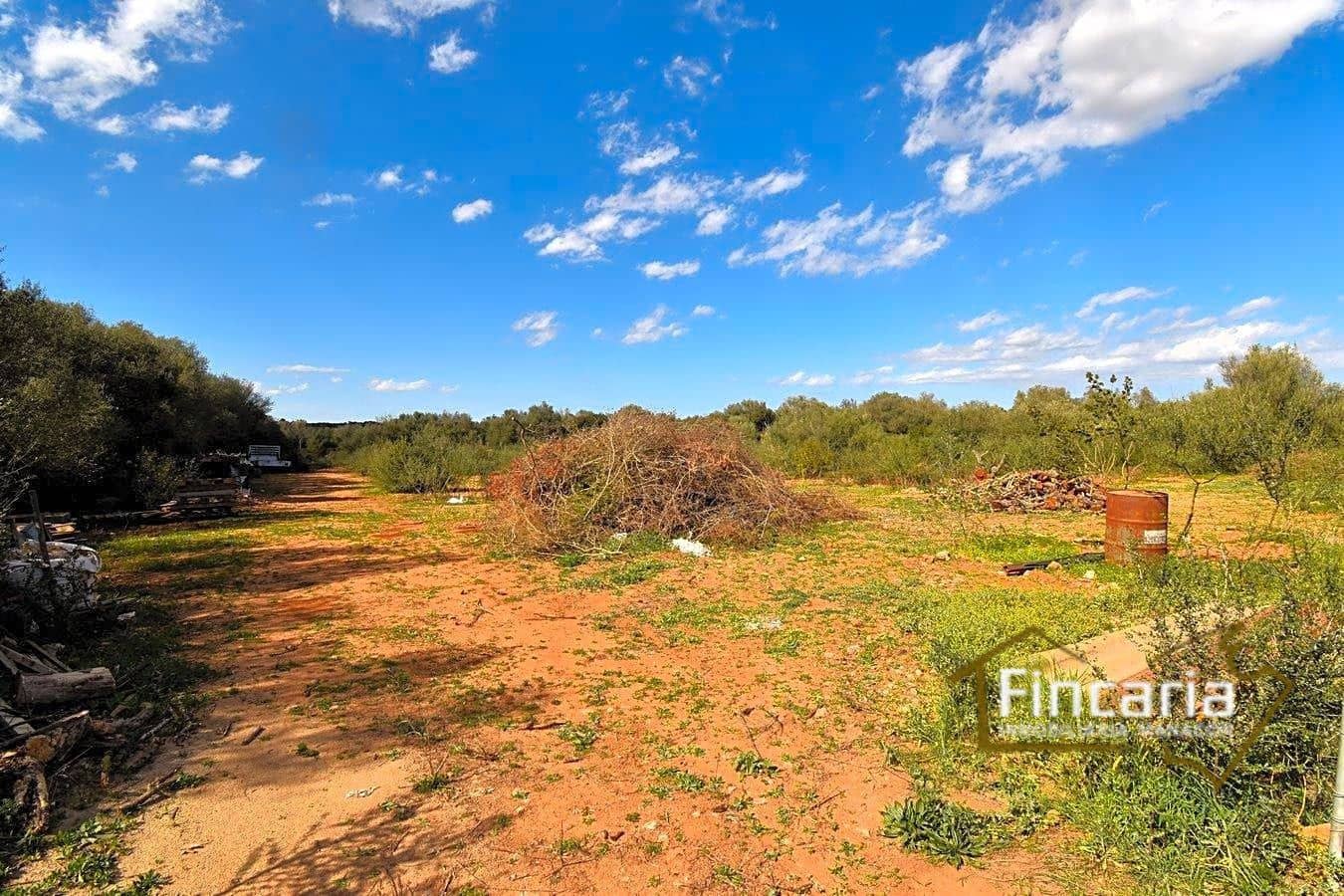 4 quarto Quinta/Casa Rural para venda em Manacor - 540 000 € (Ref: 8822805)