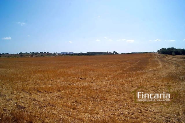 Landgrundstück zu verkaufen in Vilafranca de Bonany - 300.000 € (Ref: 8822815)