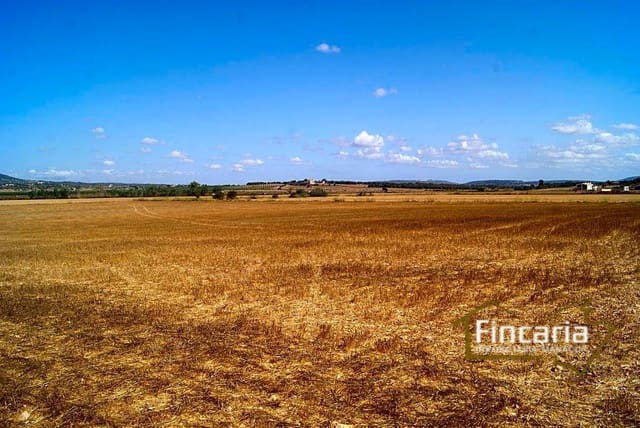 Landgrundstück zu verkaufen in Vilafranca de Bonany - 300.000 € (Ref: 8822815)