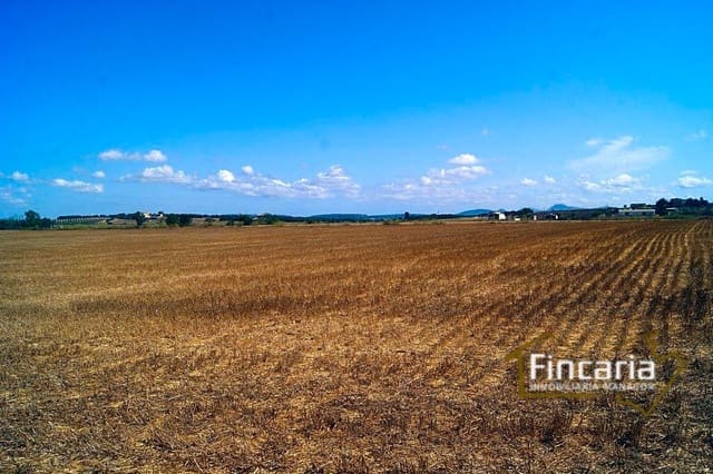 Landgrundstück zu verkaufen in Vilafranca de Bonany - 300.000 € (Ref: 8822815)