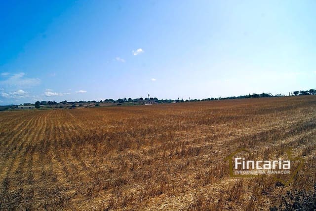 Landgrundstück zu verkaufen in Vilafranca de Bonany - 300.000 € (Ref: 8822815)