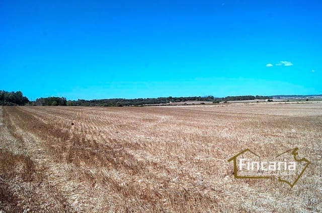 Landgrundstück zu verkaufen in Vilafranca de Bonany - 300.000 € (Ref: 8822815)