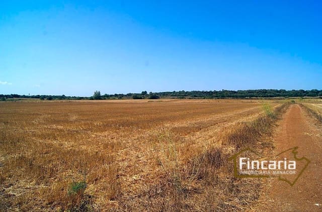 Landgrundstück zu verkaufen in Vilafranca de Bonany - 300.000 € (Ref: 8822815)