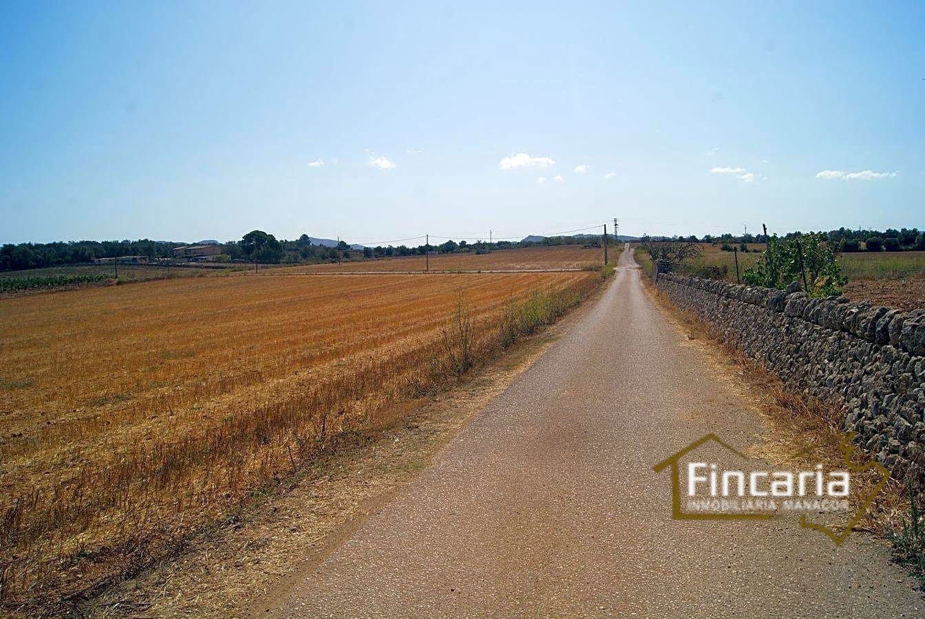 Grunde uden byggetilladelser til salg i Vilafranca de Bonany - € 300.000 (Ref: 8822815)