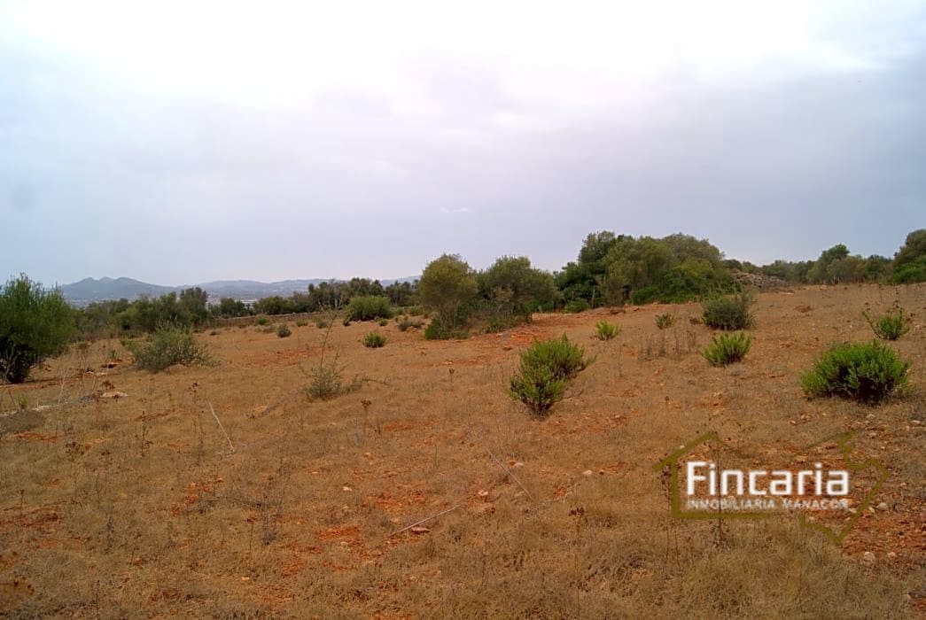 Grunde uden byggetilladelser til salg i Manacor - € 210.000 (Ref: 8822816)