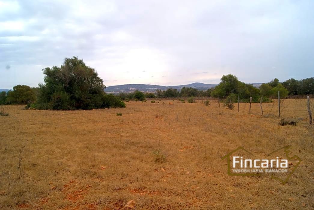Grunde uden byggetilladelser til salg i Manacor - € 210.000 (Ref: 8822816)