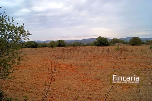 Undeveloped Land for sale in Manacor - € 210,000 (Ref: 8822816)