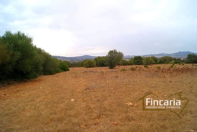Undeveloped Land for sale in Manacor - € 210,000 (Ref: 8822816)