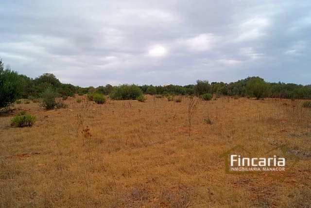 Undeveloped Land for sale in Manacor - € 210,000 (Ref: 8822816)