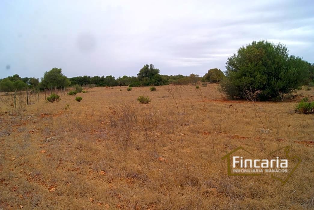 Grunde uden byggetilladelser til salg i Manacor - € 210.000 (Ref: 8822816)