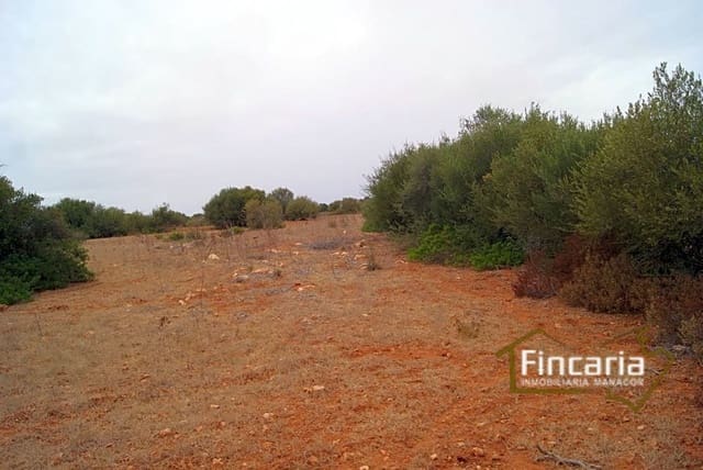Undeveloped Land for sale in Manacor - € 210,000 (Ref: 8822816)