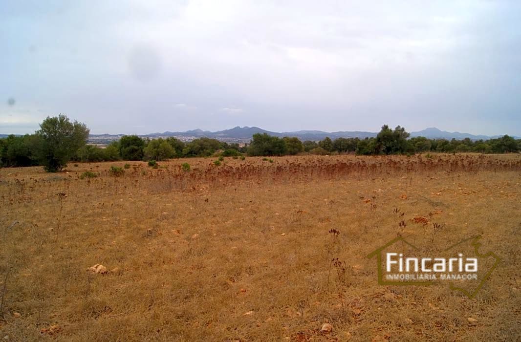 Grunde uden byggetilladelser til salg i Manacor - € 210.000 (Ref: 8822816)