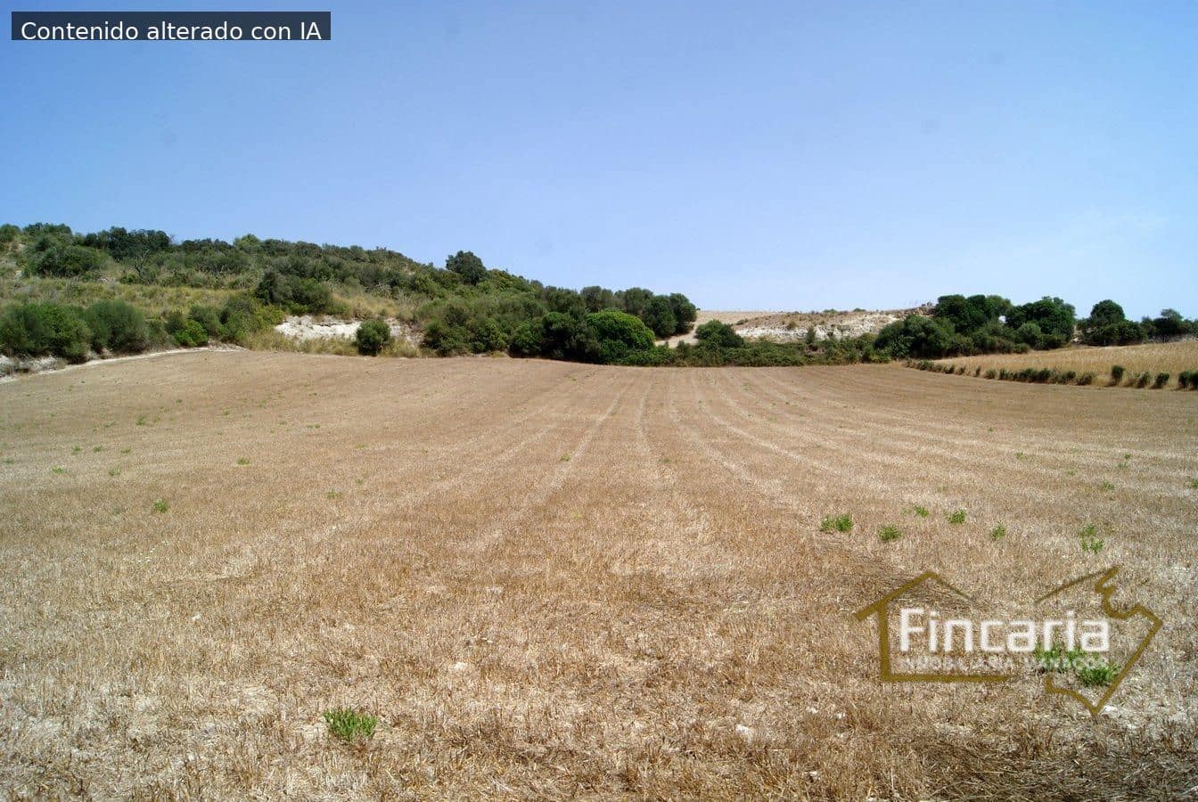 Rakentamaton maa myytävänä paikassa Manacor - 280 000 € (Ref: 8822821)