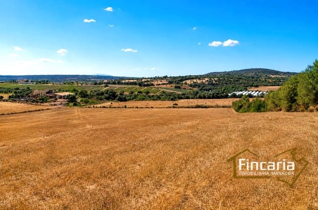 Teren niezagospodarowany na sprzedaż w Manacor - 280 000 € (Ref: 8822821)