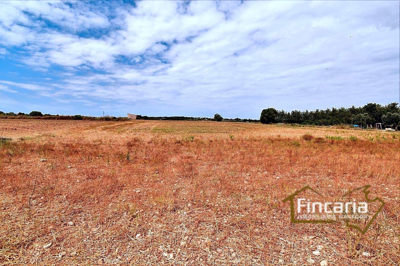 Mark till salu i Manacor - 200 000 € (Ref: 8822823)