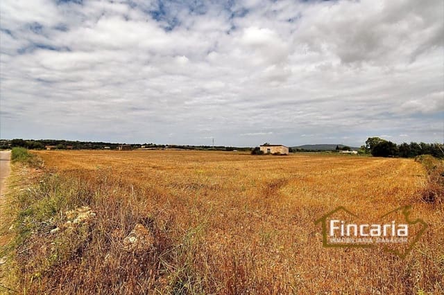 Undeveloped Land for sale in Manacor - € 200,000 (Ref: 8822823)
