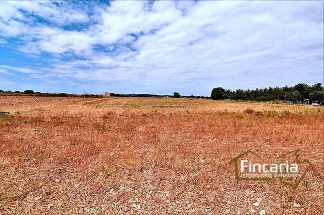 Undeveloped Land for sale in Manacor - € 200,000 (Ref: 8822823)