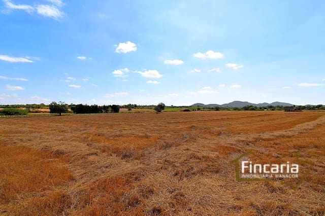 Undeveloped Land for sale in Manacor - € 200,000 (Ref: 8822823)