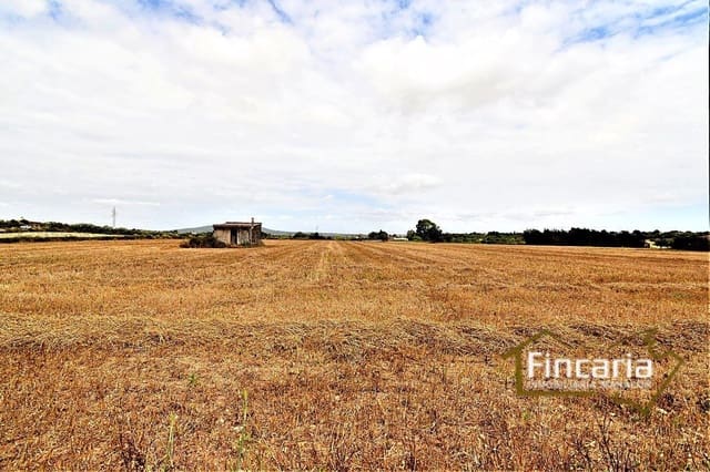 Undeveloped Land for sale in Manacor - € 200,000 (Ref: 8822823)